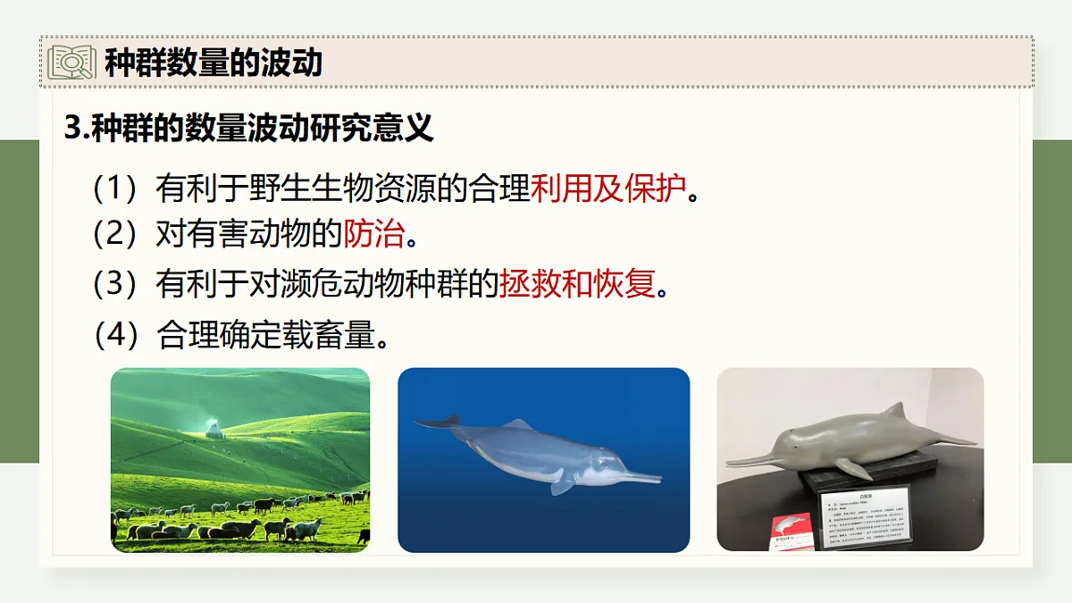 17282704第6页