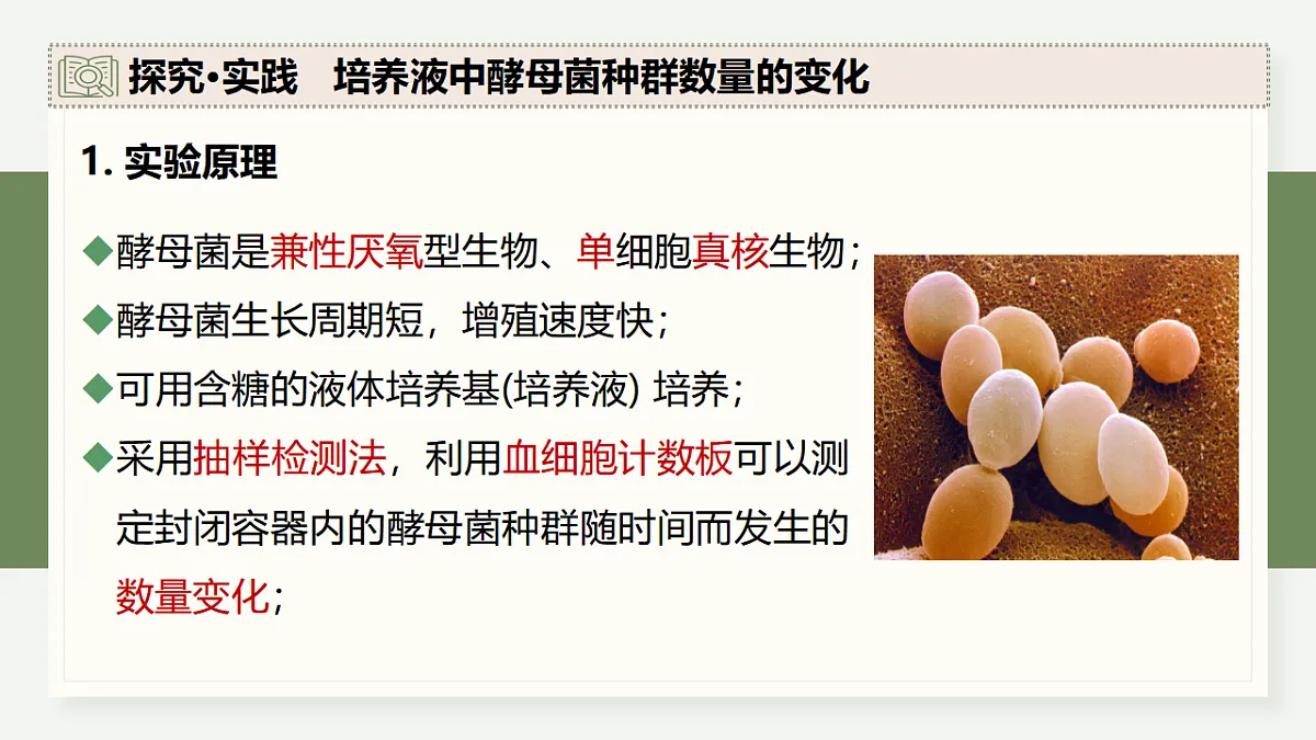 17282704第7页