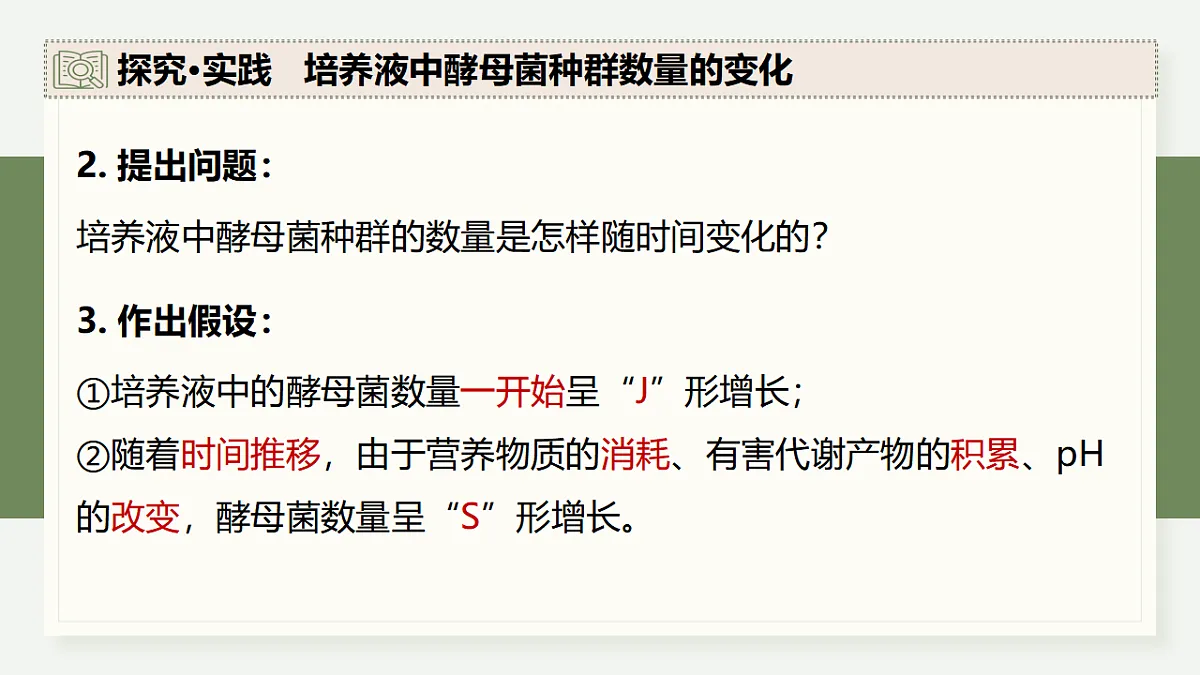 17282704第8页