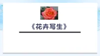 学前教育大班《花卉写生》课件