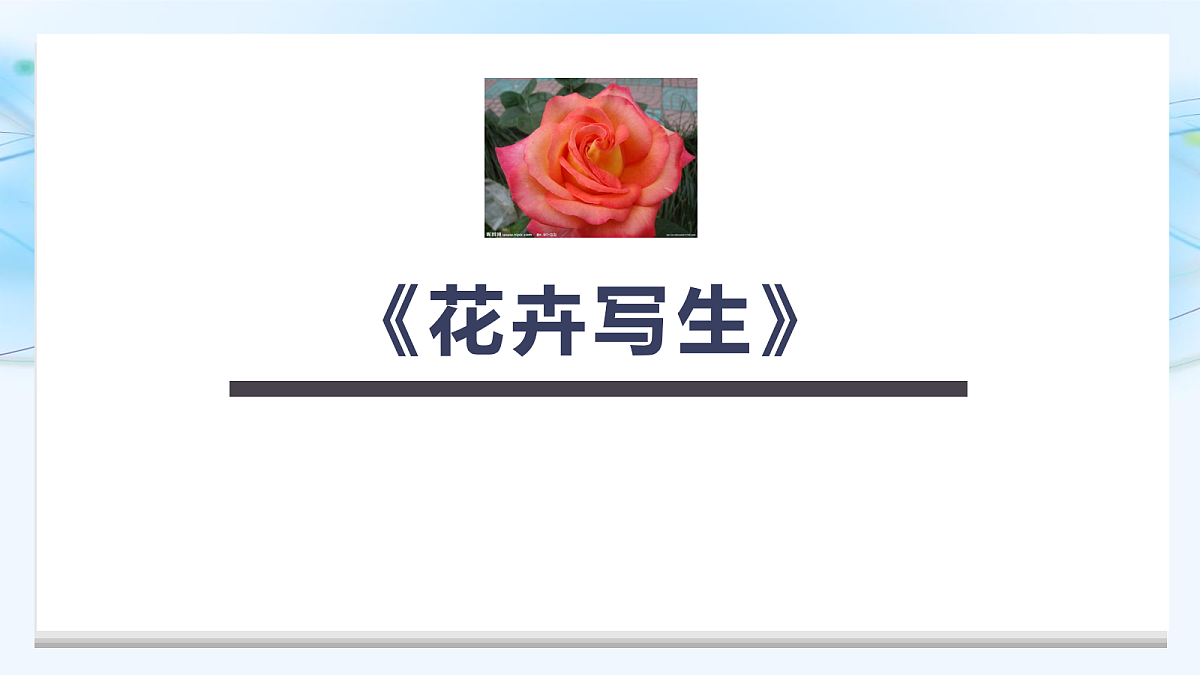 17283250第1页