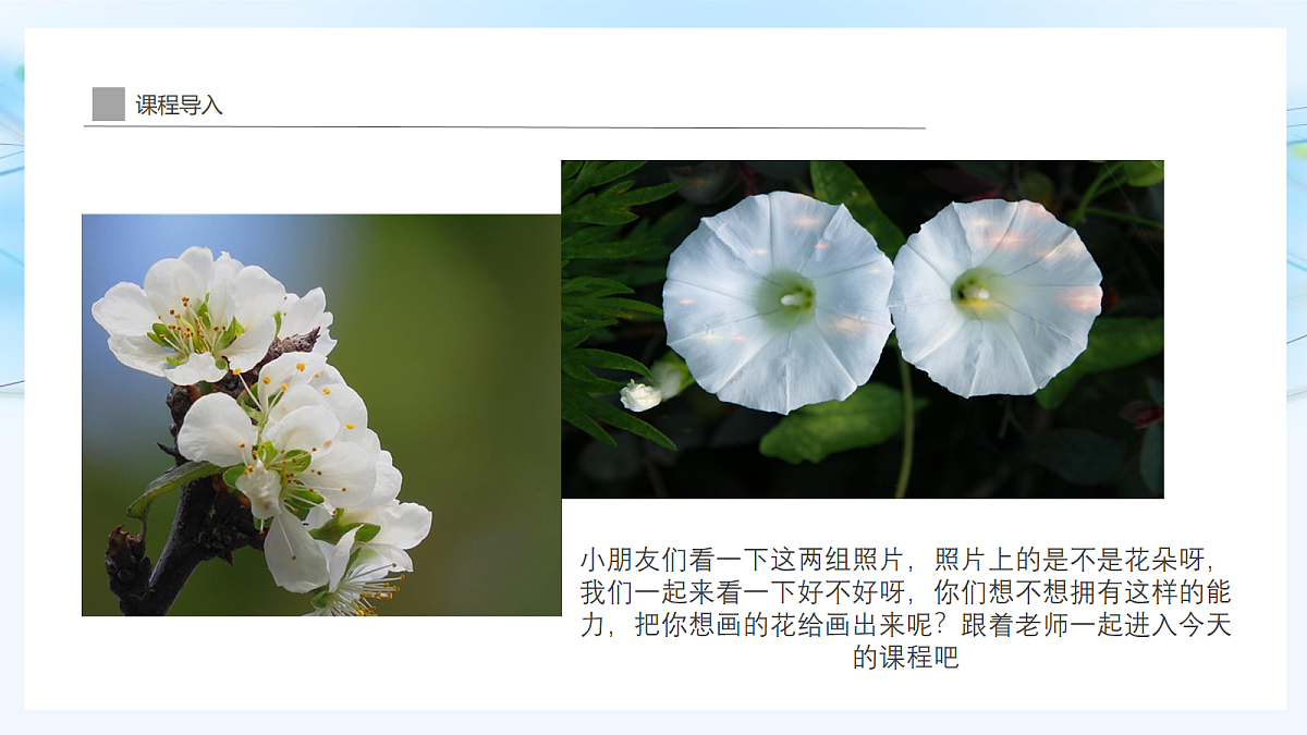 17283250第5页