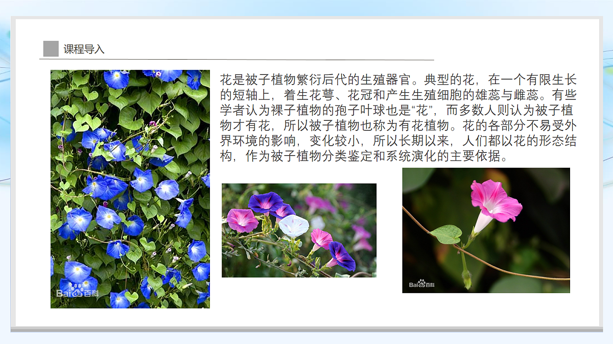 17283250第7页