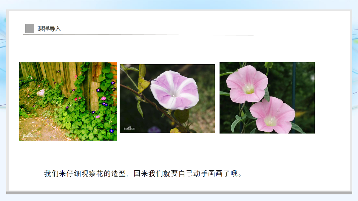 17283250第8页