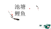 学前教育大班《池塘鲤鱼》课件