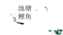 学前教育大班《池塘鲤鱼》课件