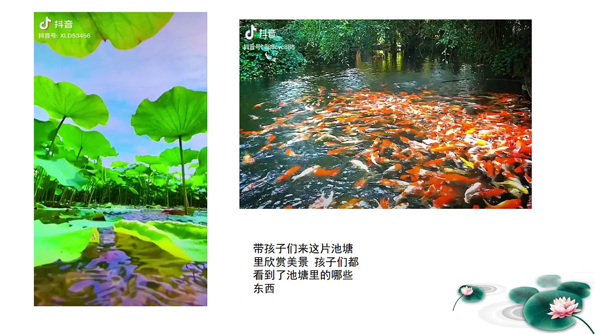 17283253第4页