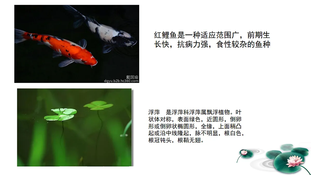 17283253第6页