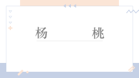 学前教育大班《杨桃》课件