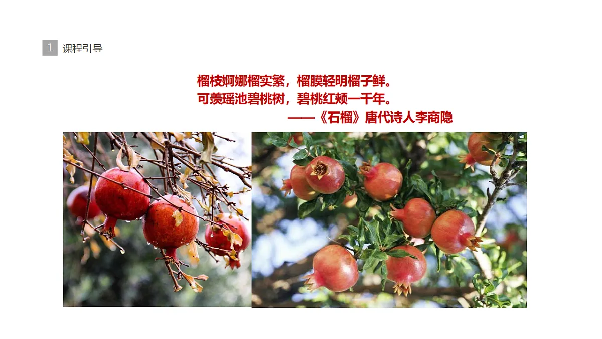 17283263第3页