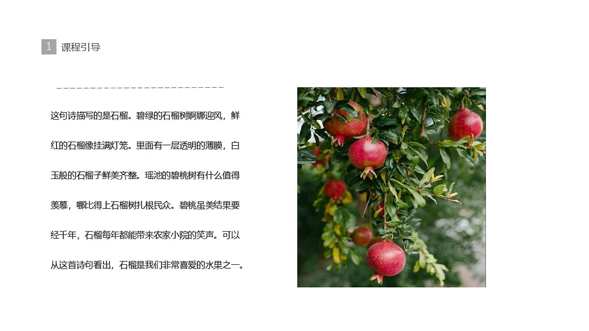 17283263第4页