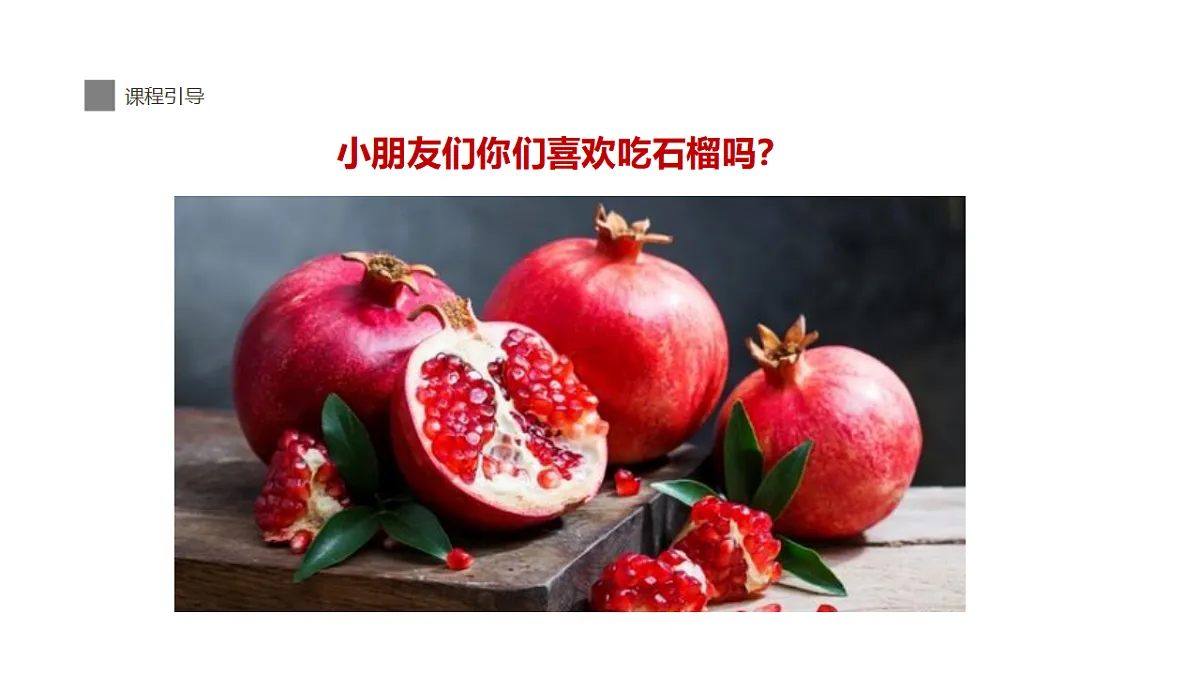 17283263第5页