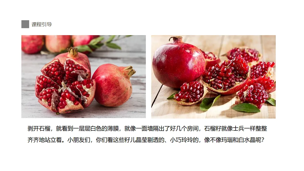 17283263第7页
