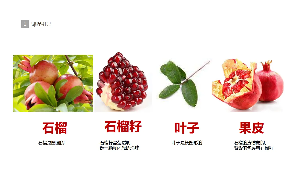 17283263第8页