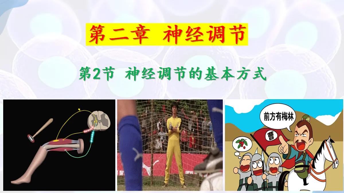 17283776第1页