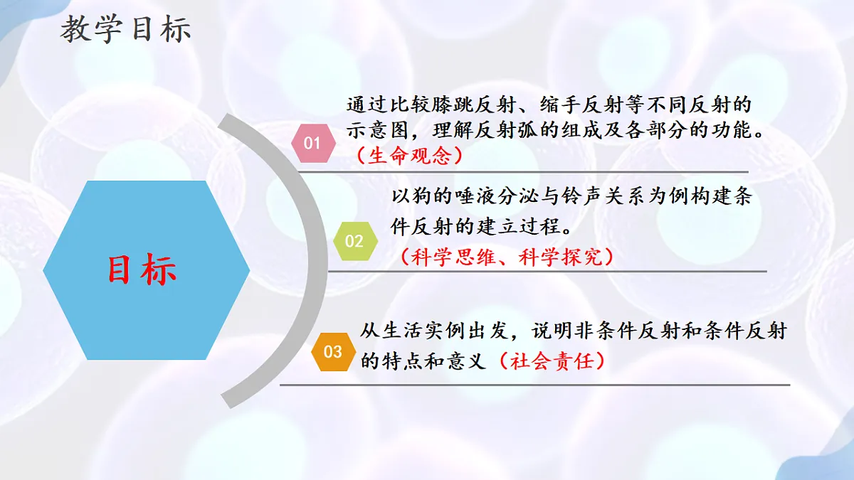 17283776第2页
