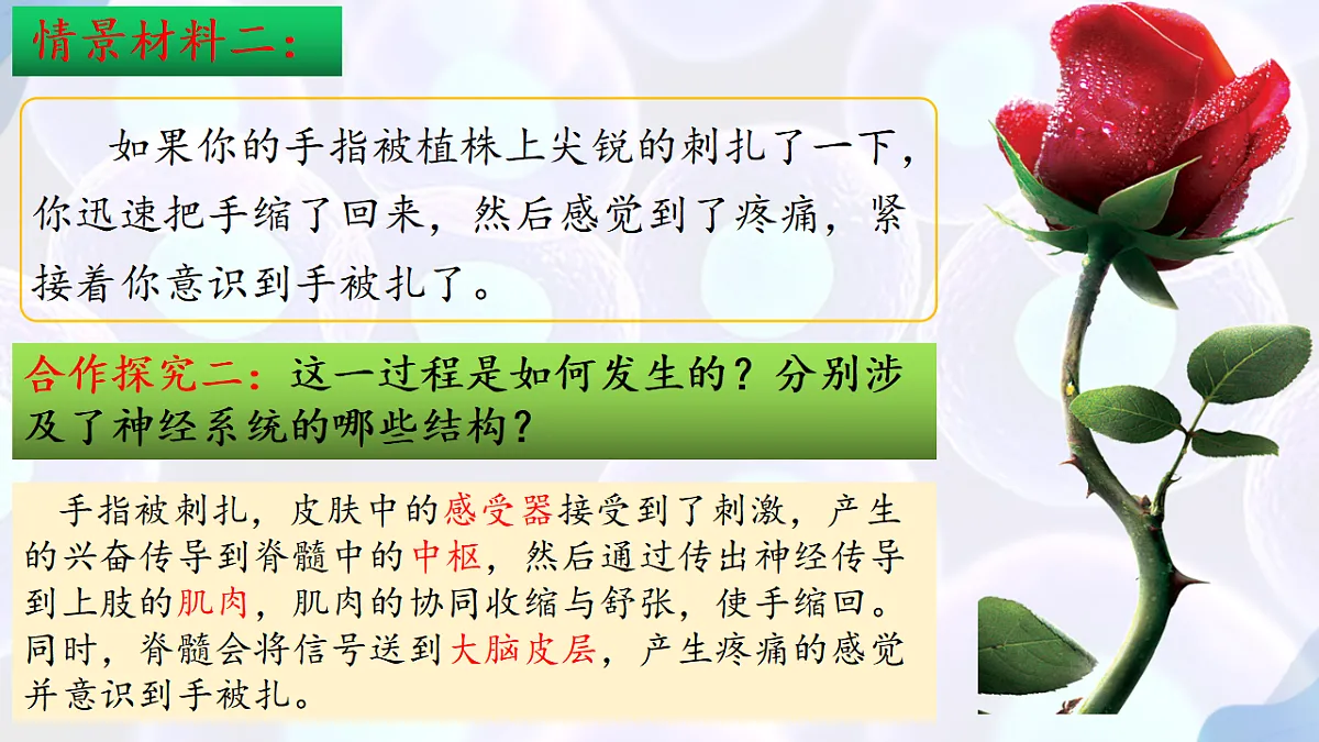 17283776第5页