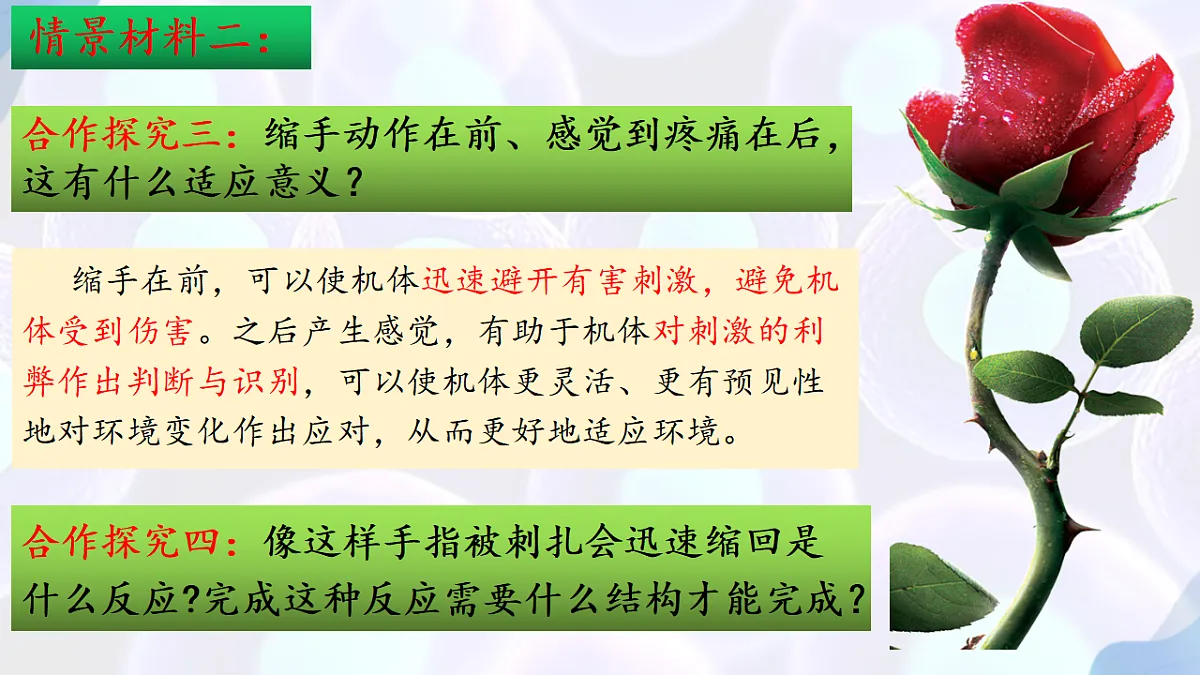 17283776第6页