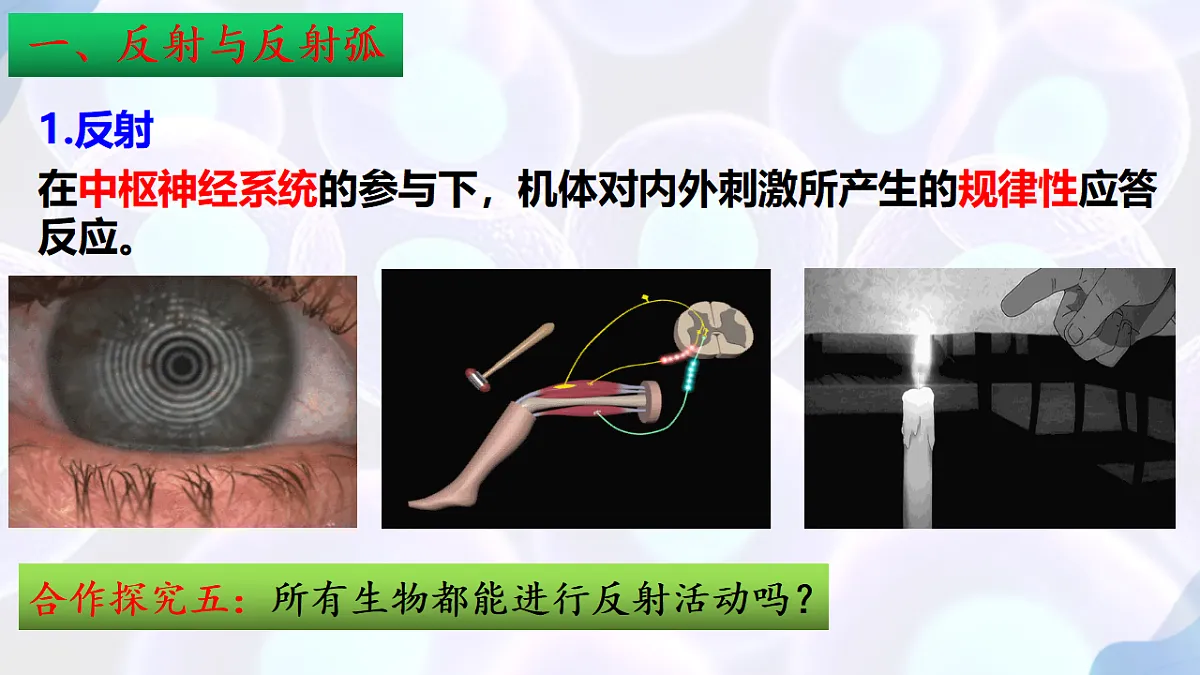 17283776第7页