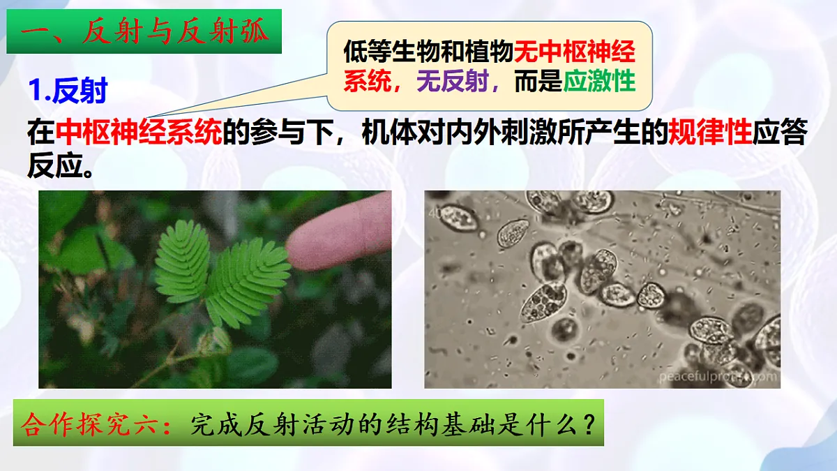17283776第8页