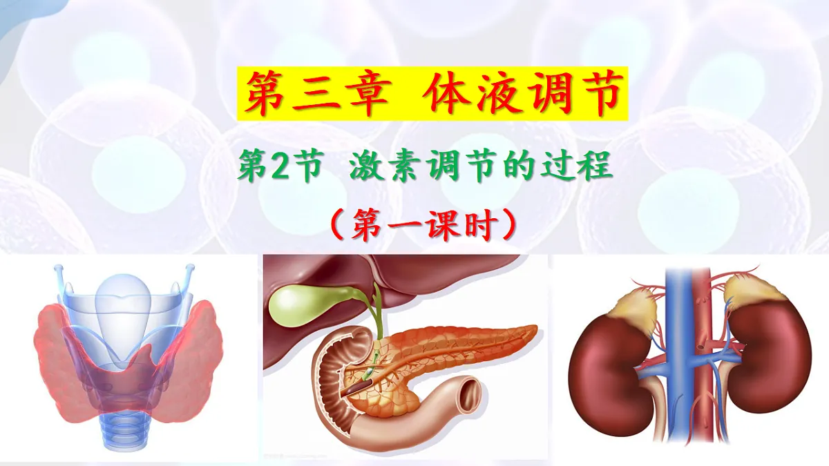 17283783第1页