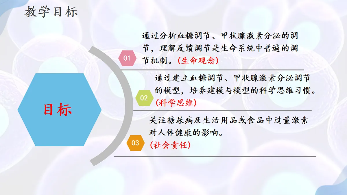 17283783第2页