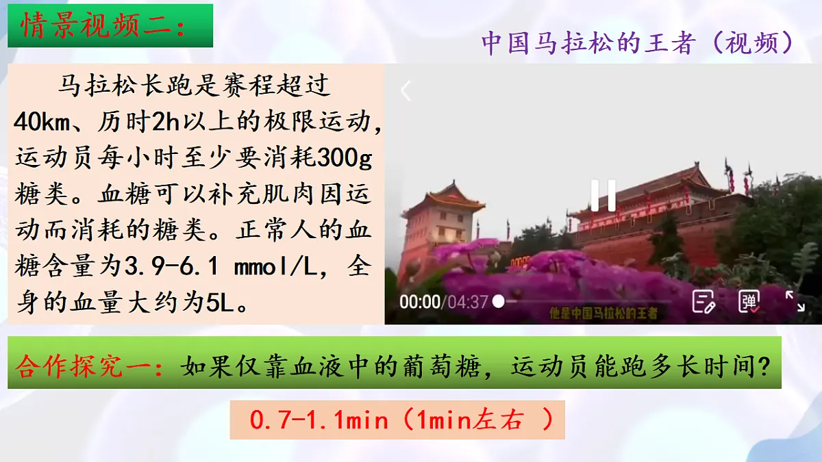 17283783第4页