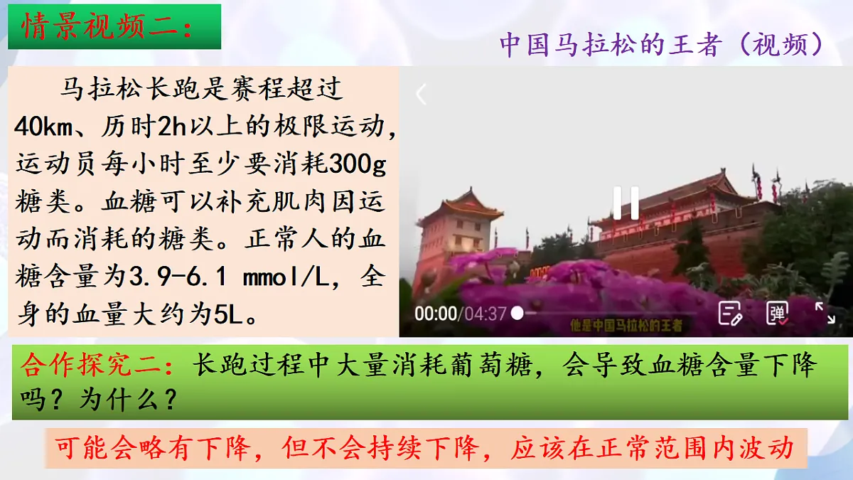 17283783第5页