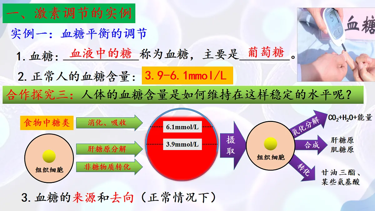 17283783第6页