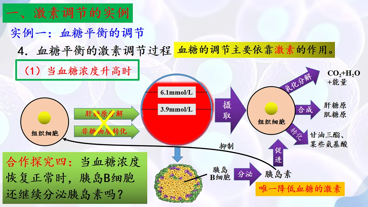 17283783第7页