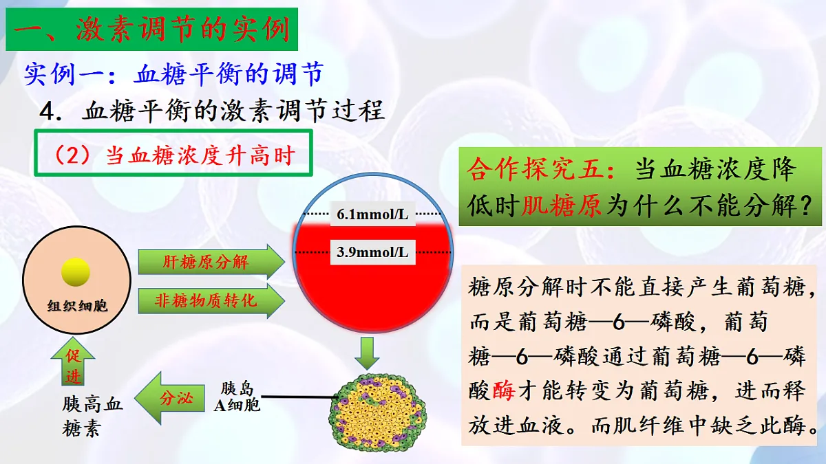 17283783第8页