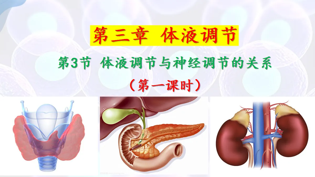 17283784第1页