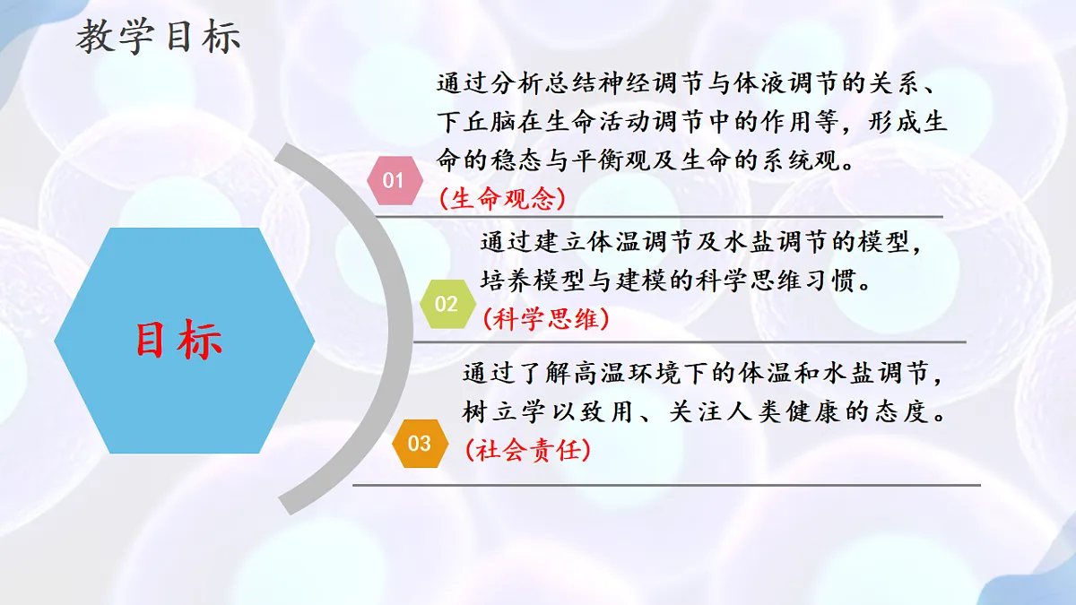 17283784第2页