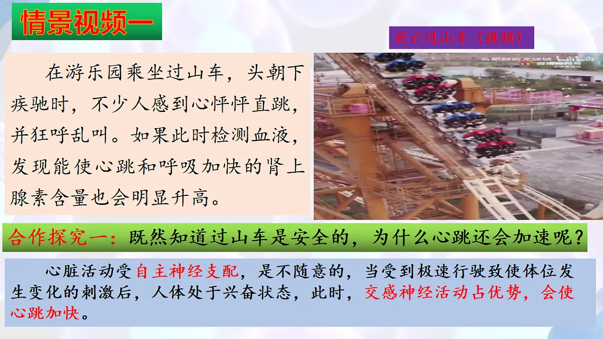 17283784第3页