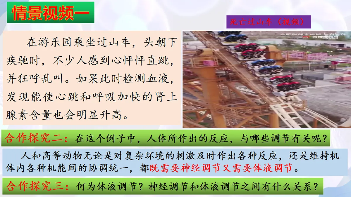17283784第4页