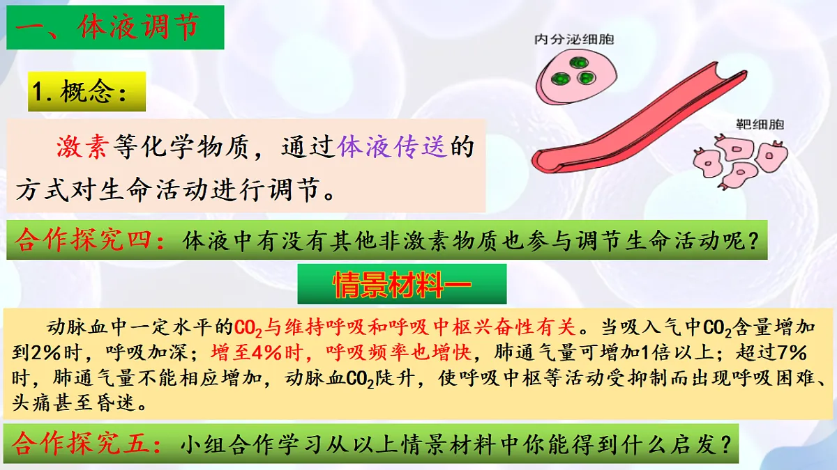 17283784第5页