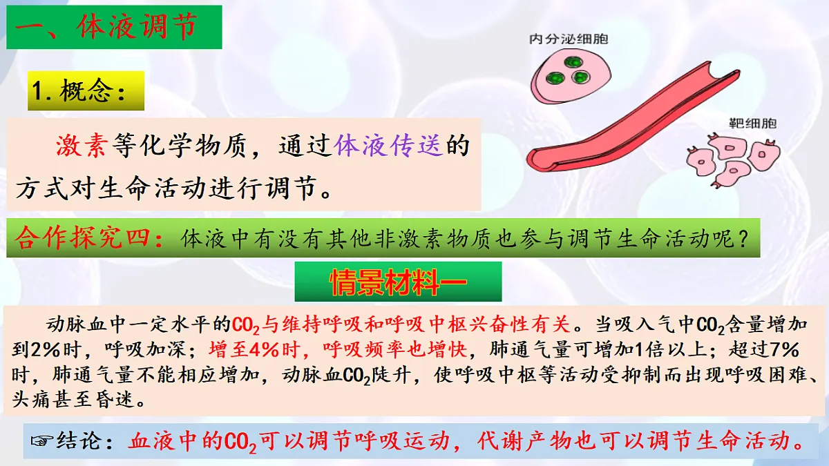 17283784第6页