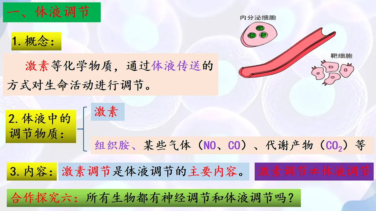 17283784第7页