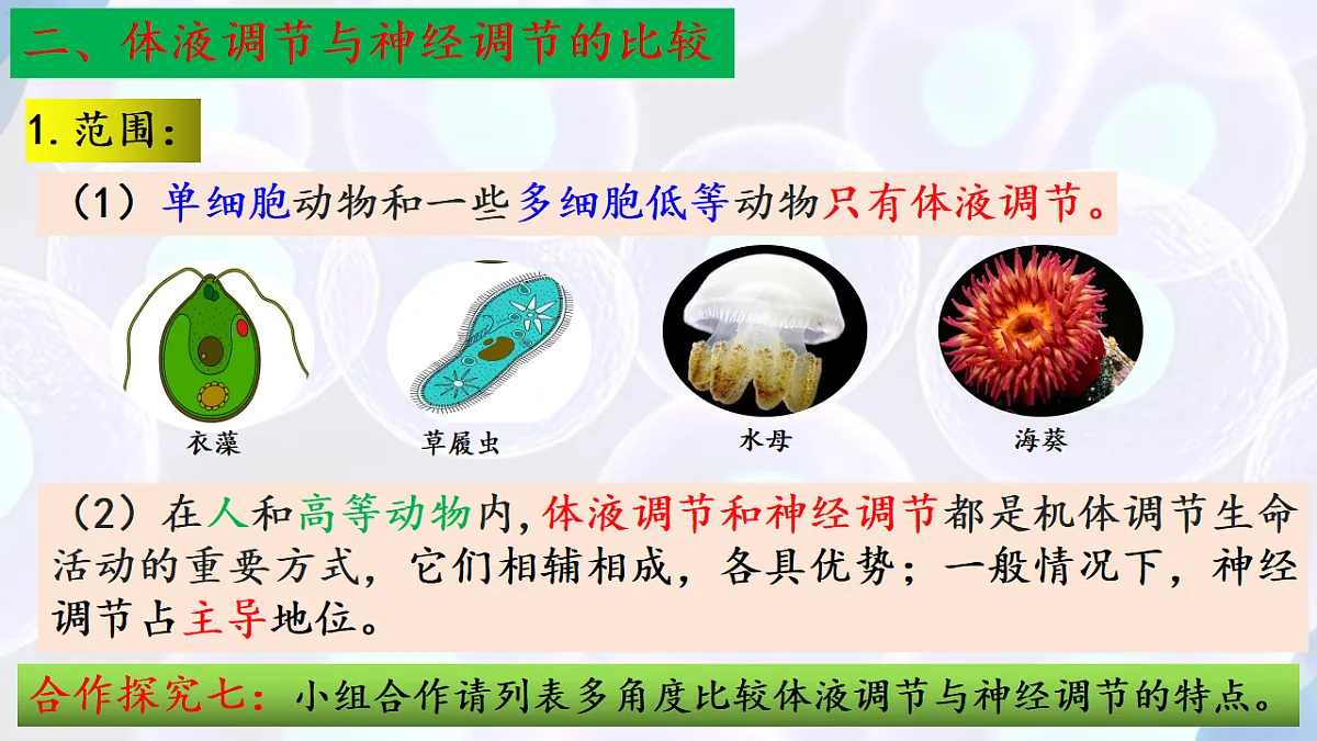 17283784第8页