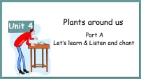 小学英语人教版PEP(2024)三年级上册(2024)Unit 4 Plants around us Part A课文配套ppt课件
