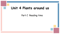 人教版PEP（2024）Unit 4 Plants around us Part C课前预习ppt课件