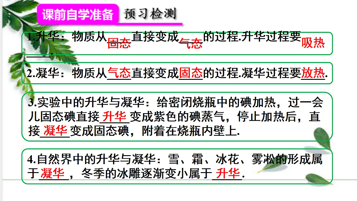17285065第3页