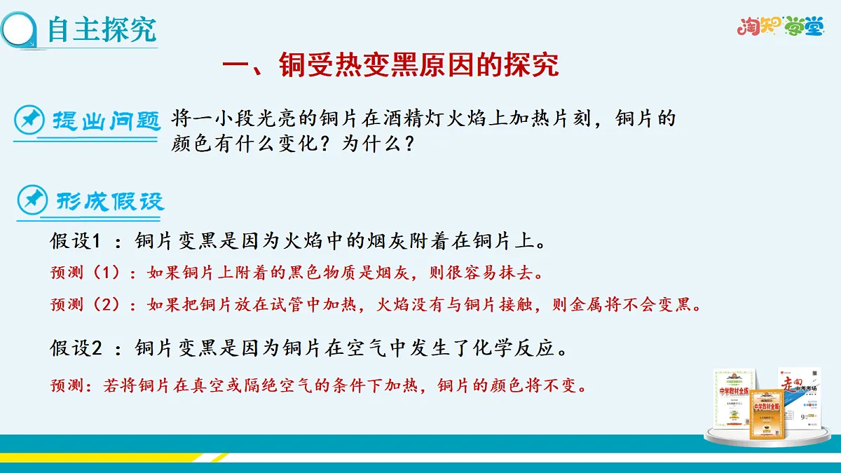 17285156第3页