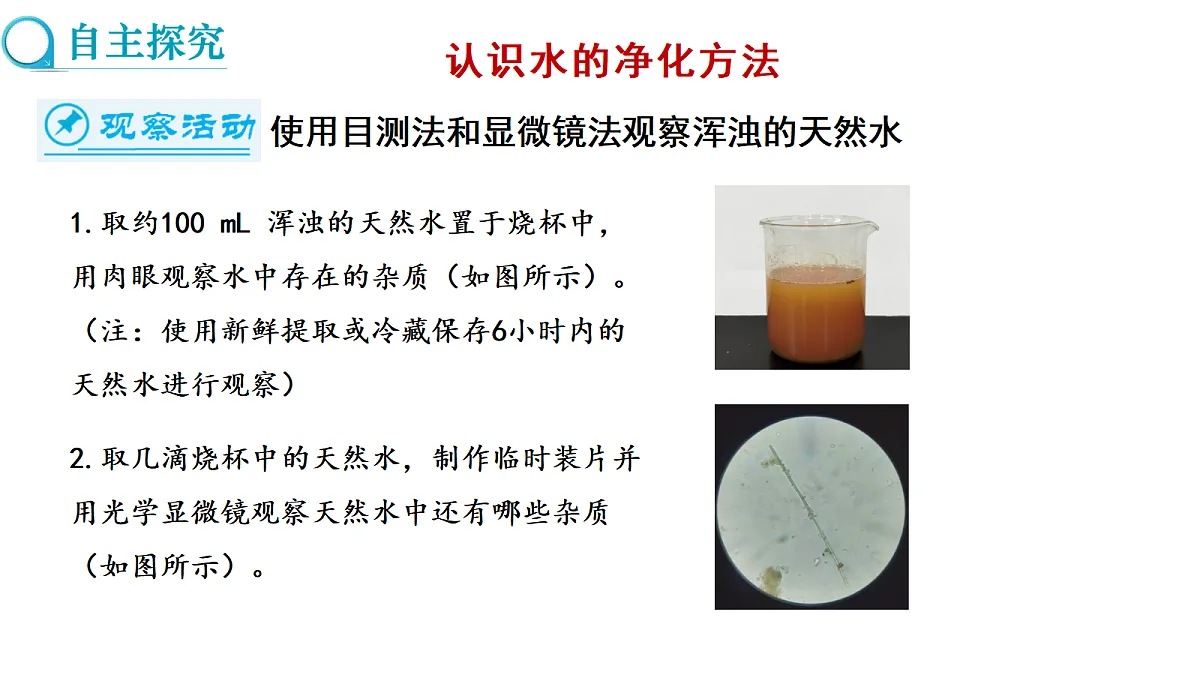 17285172第3页