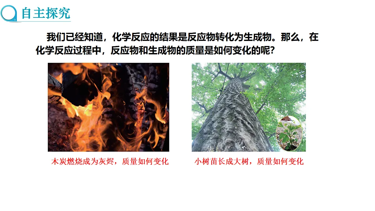 17285201第3页
