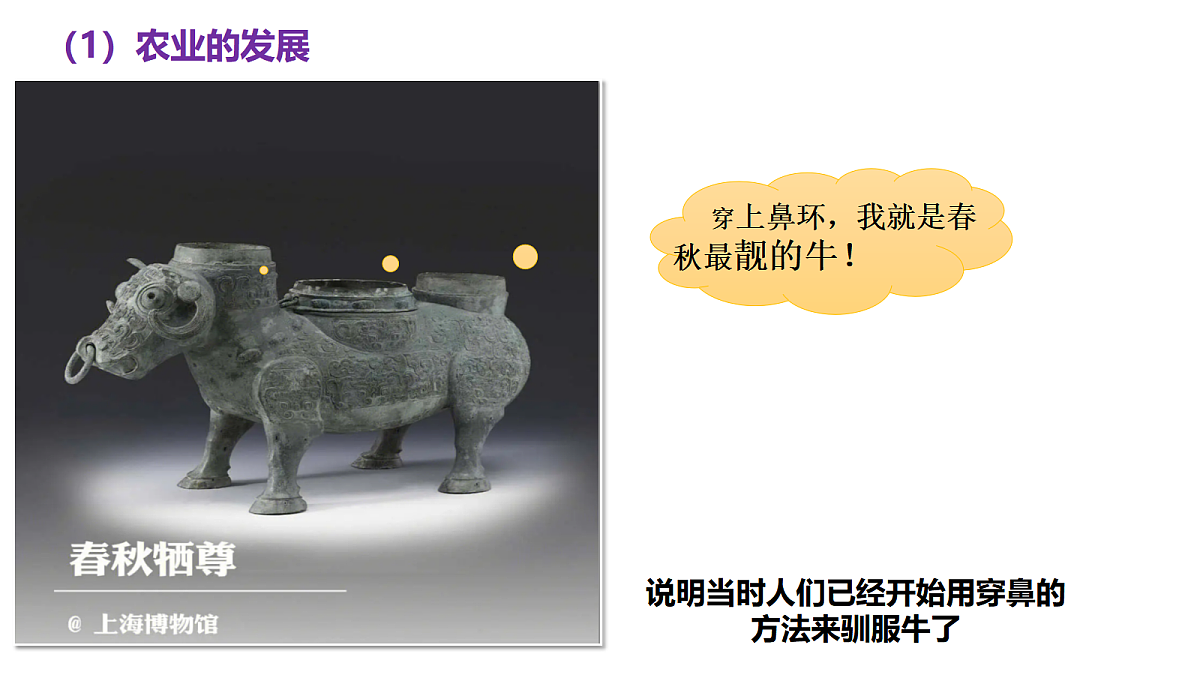 17285472第6页