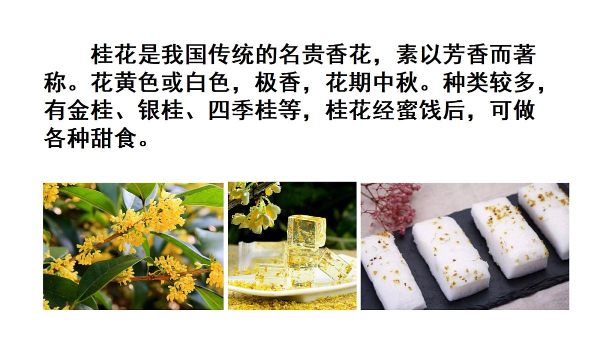 17285484第2页