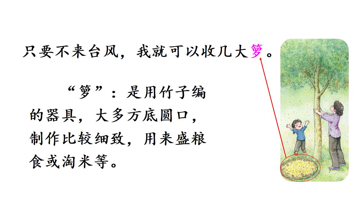 17285484第5页