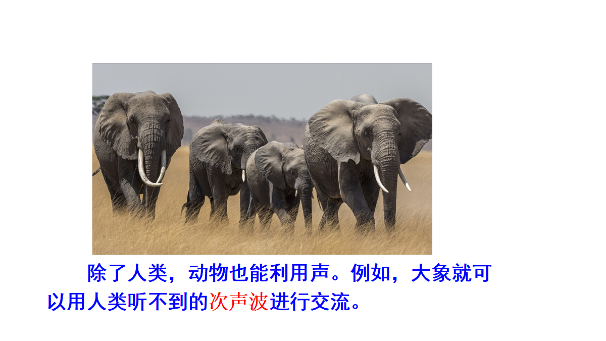 17287330第5页