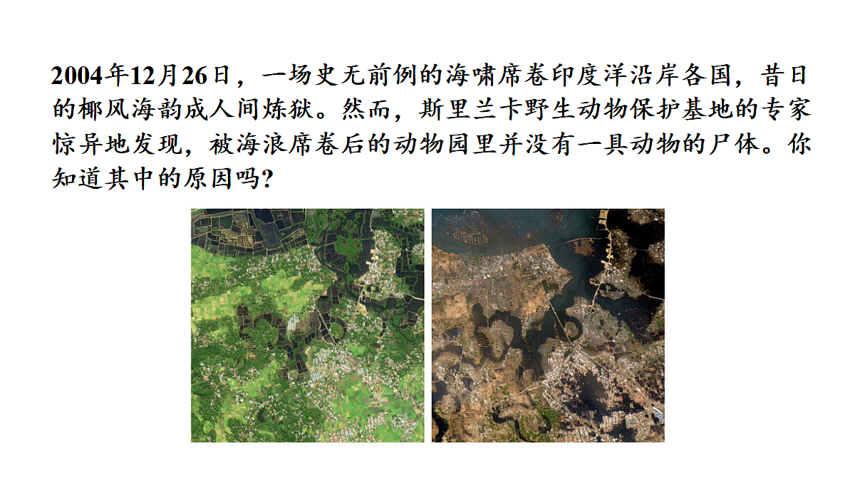 17287330第7页